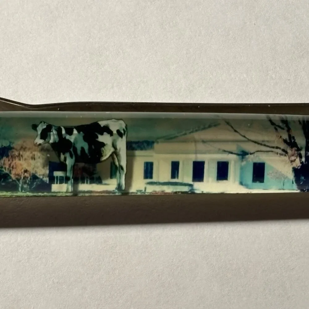 Sterling Francini Clark Art Institute Floaty Pen Holstein Cow Moves Art Nature